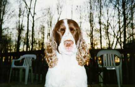 Molly The Brave!